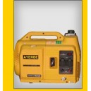 Grupo electr&oacute;geno 2000 INS